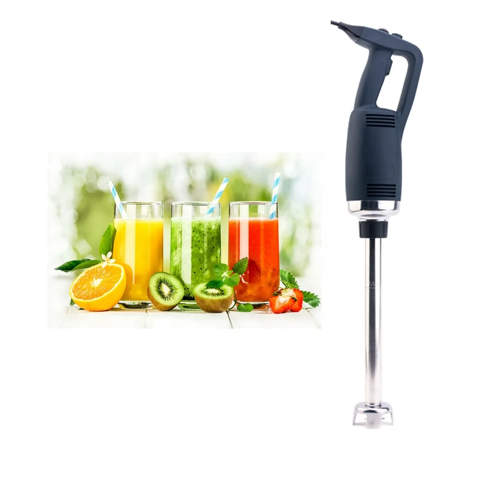 immersion blender.jpg