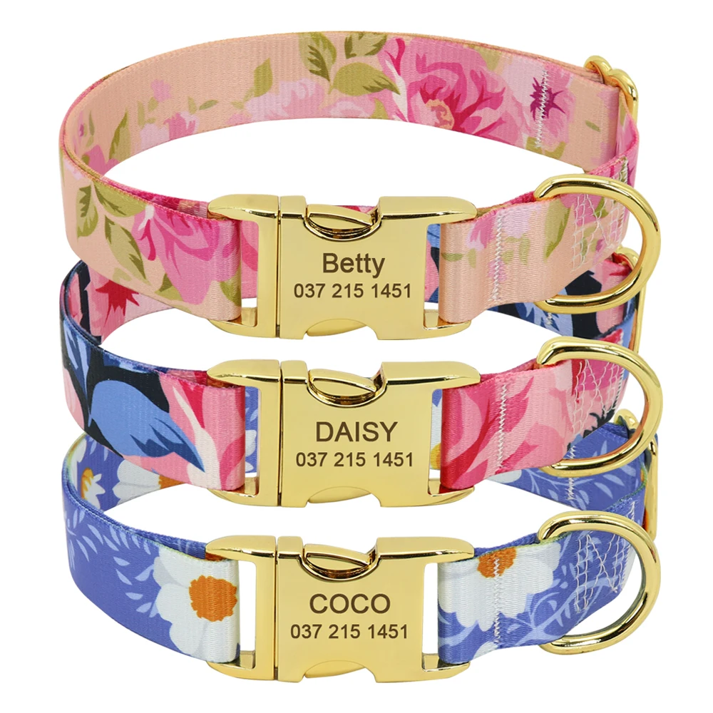 

New Arrival Gold Nameplate Buckle Nylon Lining Printed Ribbon Dog Collar, Blue, beige, pink