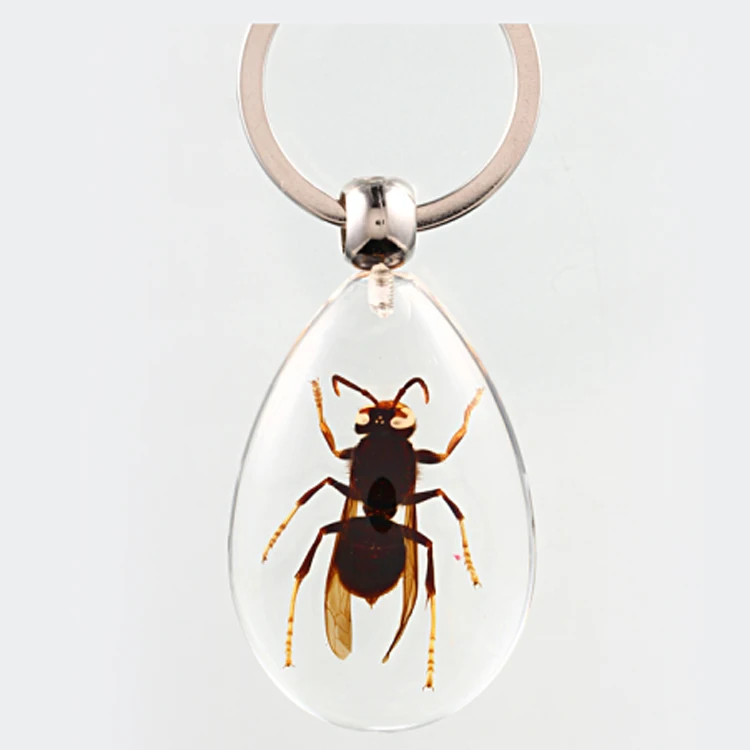 20pcs Resin Insect Specimen Keychain As Beautiful Fashion Key Chain