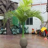 Chinese factory offer bottle coconut tree outdoor Artificial coconut palm natural looking coconut tree for decoration