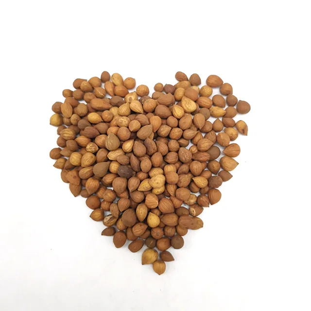 
GMP Factory supply Chinese Bushberry seed 