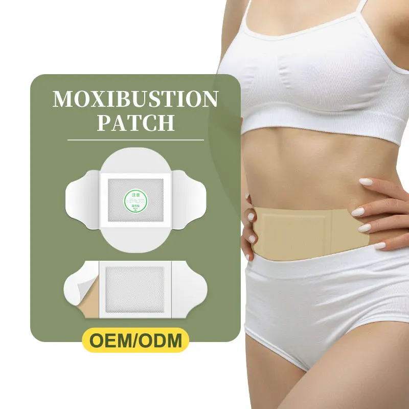 

Private Label OEM/ODM Reduce Inflammation Heat Patch Herbal Pack Plaster Sticker