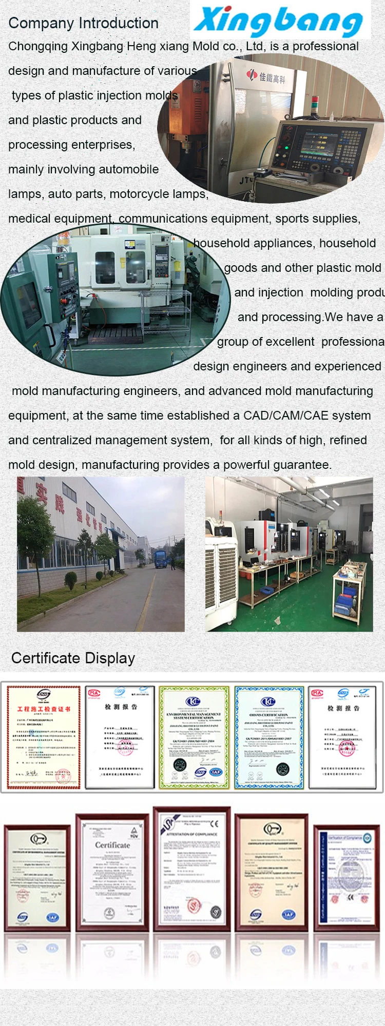 company introduction1