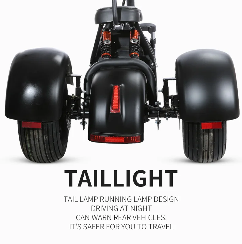 three wheels EEC electric scooter