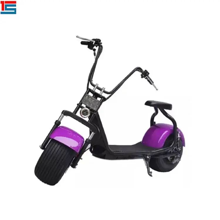 

Holland Warehouse European Warehouse Stock electric scooter citycoco 2000w