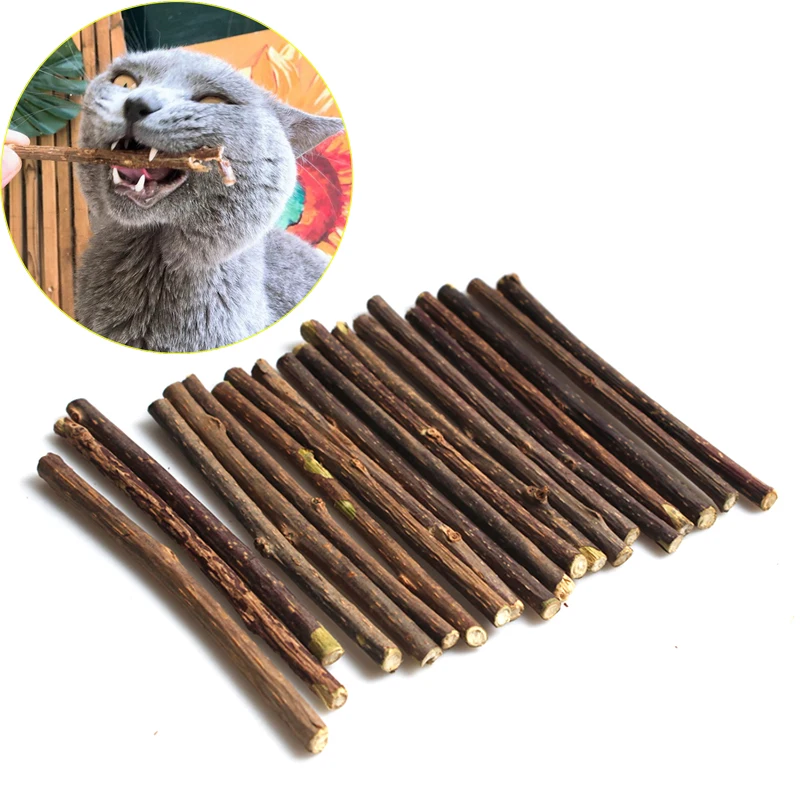 

Pet Cat Molar Toothpaste Stick Natural Catnip Fruit Silvervine Cat Snacks Sticks Pet Cleaning Teeth Cat Products