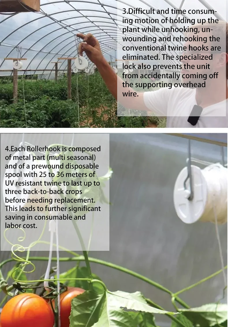 Tomato Roller Hook Grow Tomatoes Pvc Hot Galvanized Steel Small With