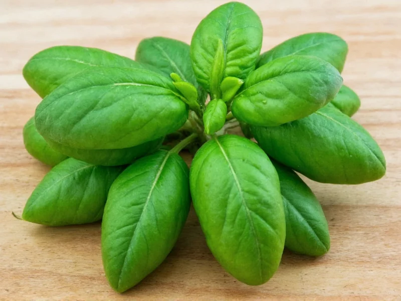 Dried Basil to Fresh Conversion: Perfect Substitution Guide