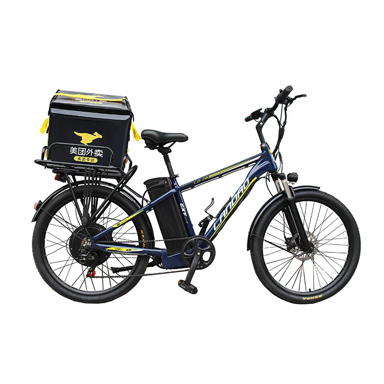 1000 W Electric Bicycle 48 V 20ah E Battery Bike 26 Inch Mountain For