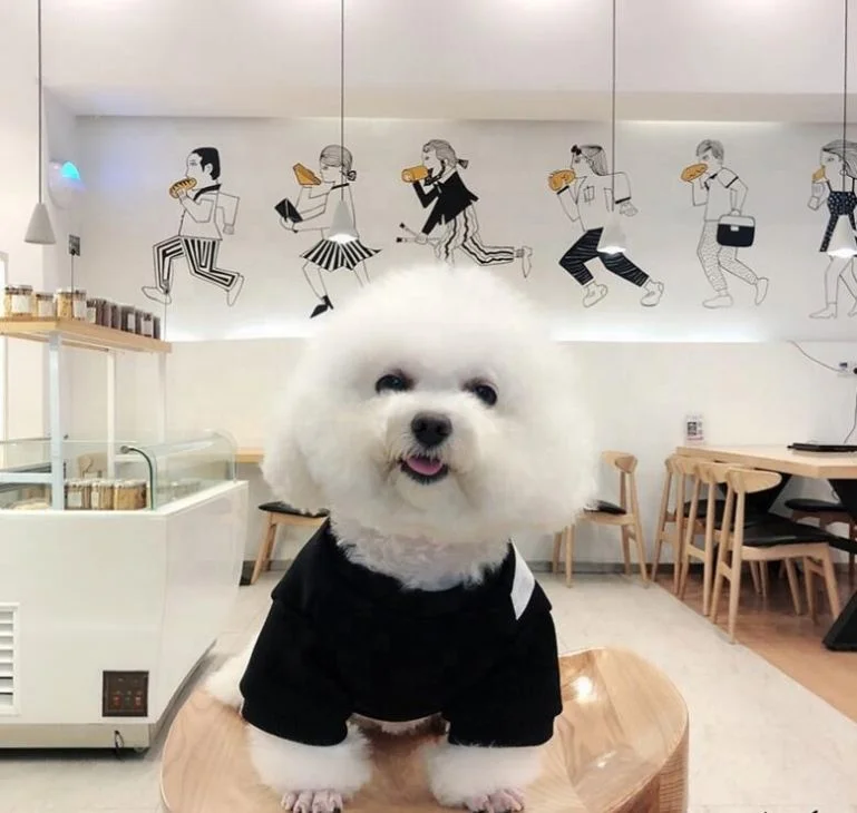 

Spring And Autumn New Fashion Clothes Pure Cotton Elastic Dog Pet Clothes Jhsport