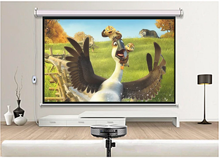 electric screen3.jpg
