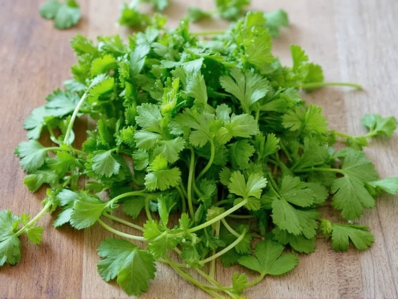 dry cilantro to fresh