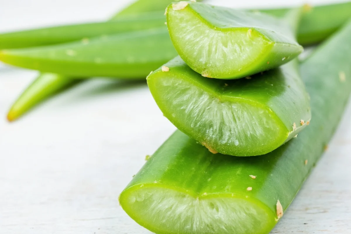 is the aloe vera plant good for your face
