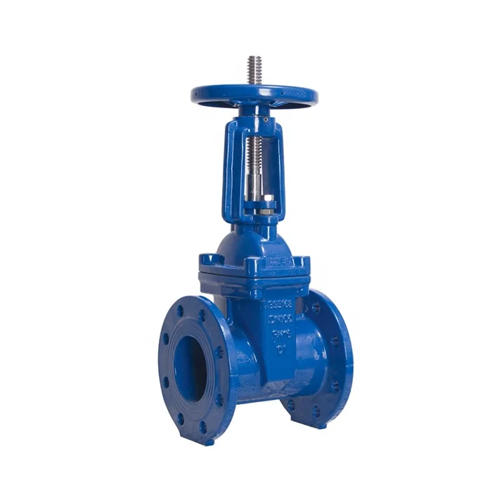 Factory Price BS5163/ EN 1171 PN25 Rising Stem Sluice Valve Resilient Seated Ductile Iron Gate Valve