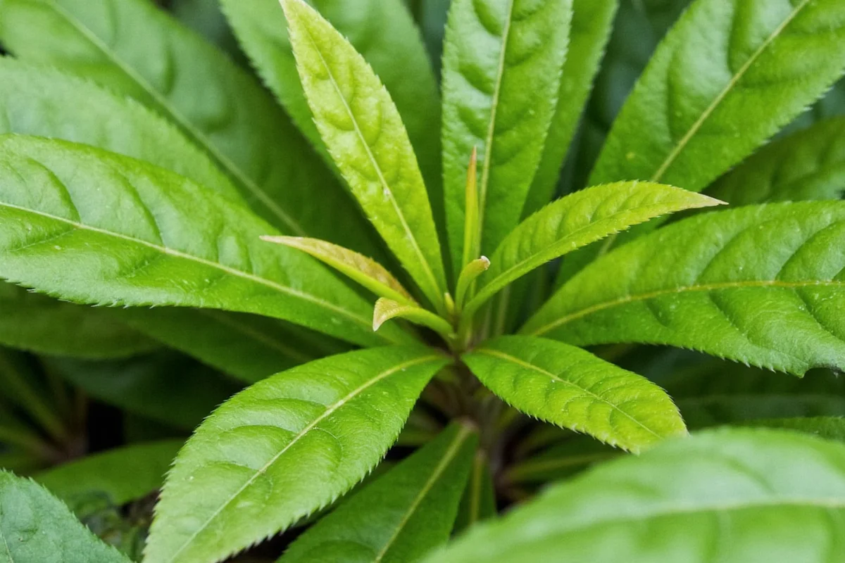 Unlock the Secrets of Plant Culture in 2025: Expert Tips