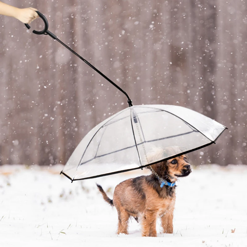 

Outdoor Puppy Protector Rain Umbrella With Leash For Puppy Dog With Dog Chain, Transparent