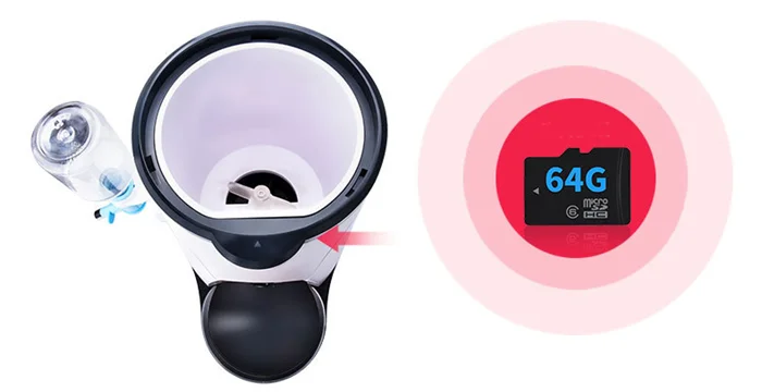 SF-25  (17).png