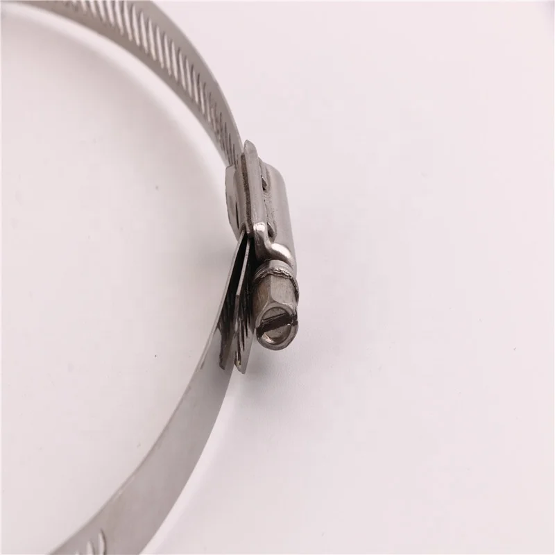 
High Torque Worm Drive single ring spring hose clamp 