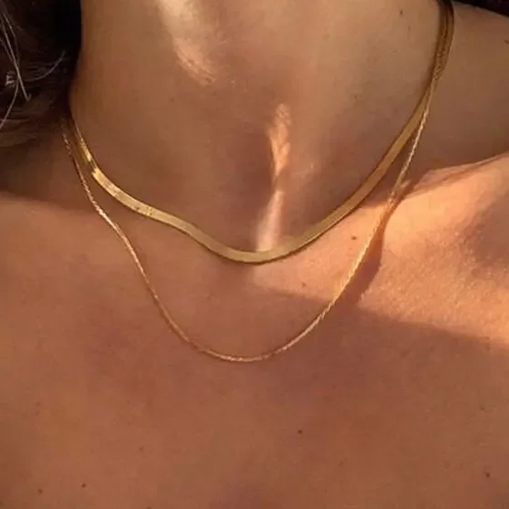 18K Plated  Snake Chain Choker Necklace Stainless Steel Necklace for Women Basic Chain Drop Shipping