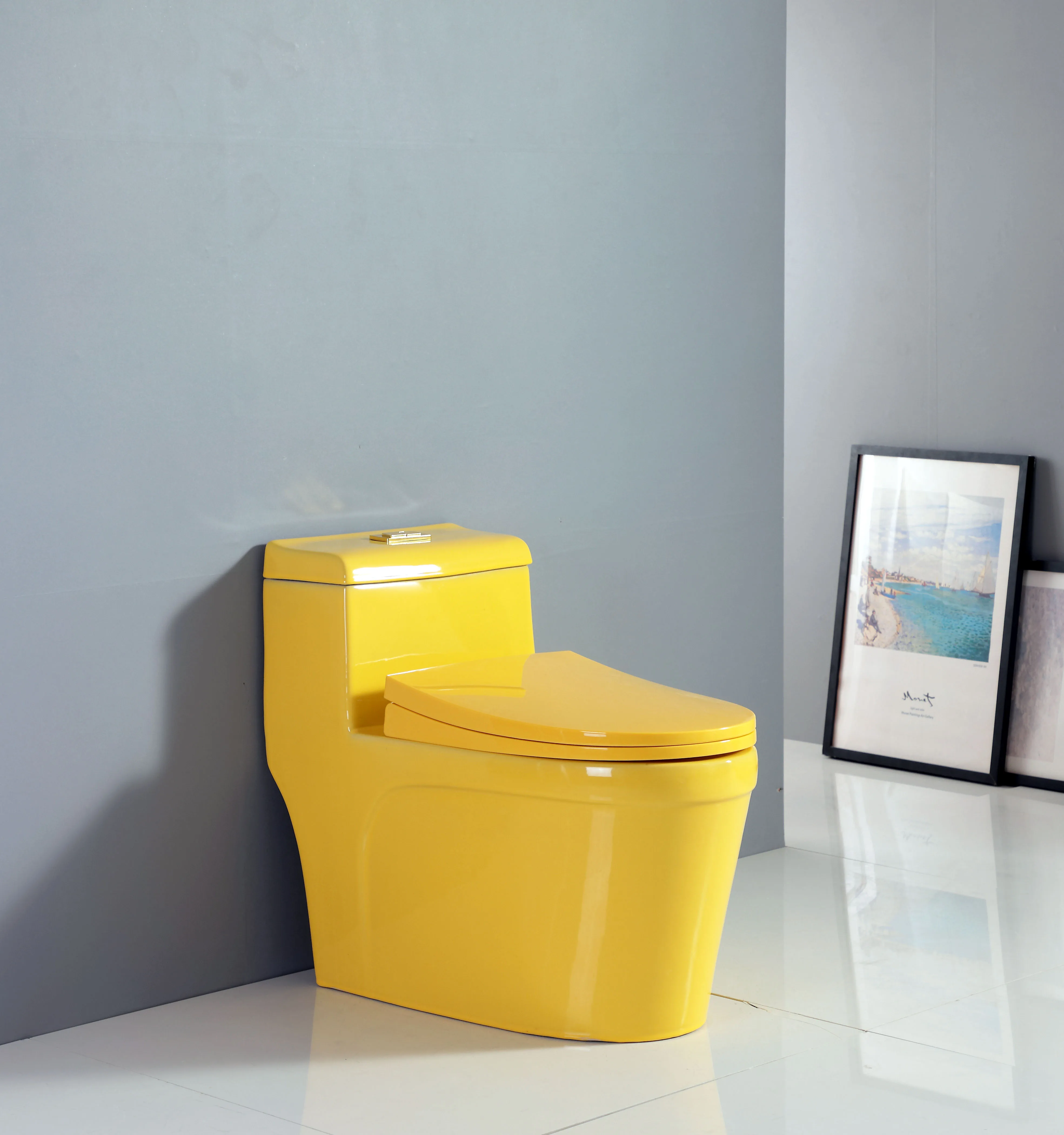 Multicolor Sanitary Wares Floor Mounted Wc Siphonic Flushing One Piece