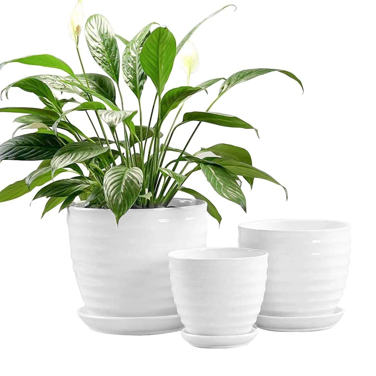 

3pcs set stock cheap plain white garden plant natural ceramic flower pot, White ,colorful