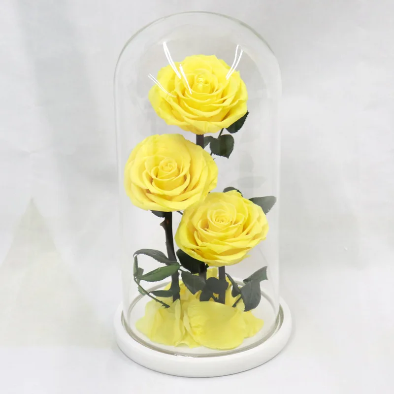 Eternity Roses In Decorative Glass Dome With Long Stem In Gift Box