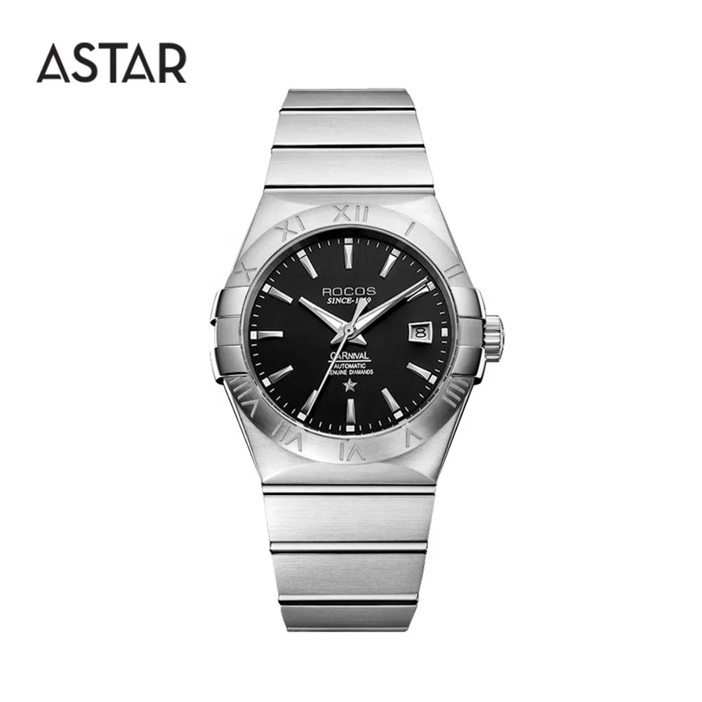 

Dropship High quality sapphire 316L all matt stainless steel mechanical automatic transparent caseback watch man for sale