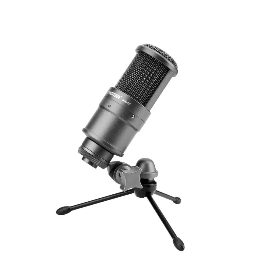 

Takstar Professional condenser mic with shock mount studio recording microphone for YouTube broadcasting live performance