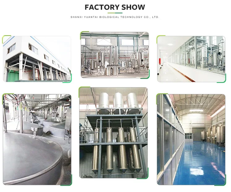 
High Purity 99% Clobetasol propionate 25122-41-2 Clobetasol in stock 