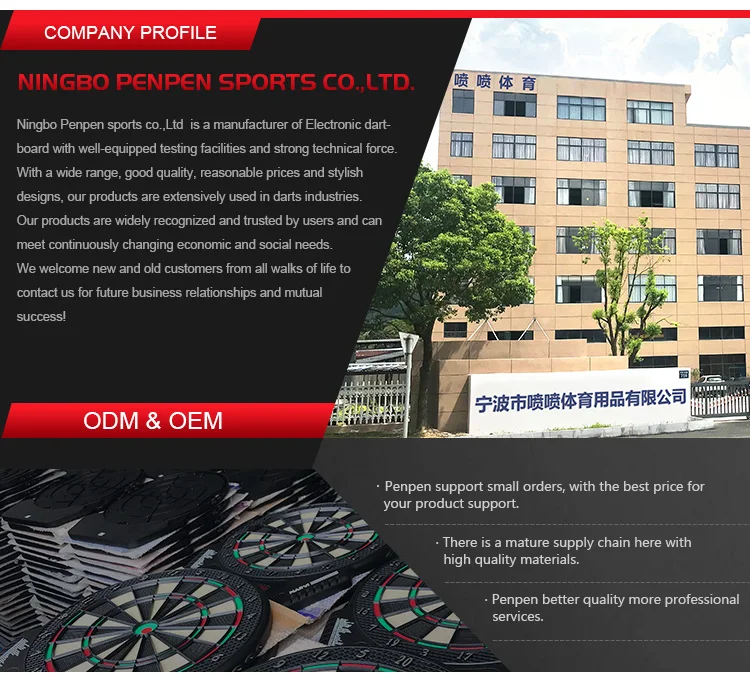 professional dartboard