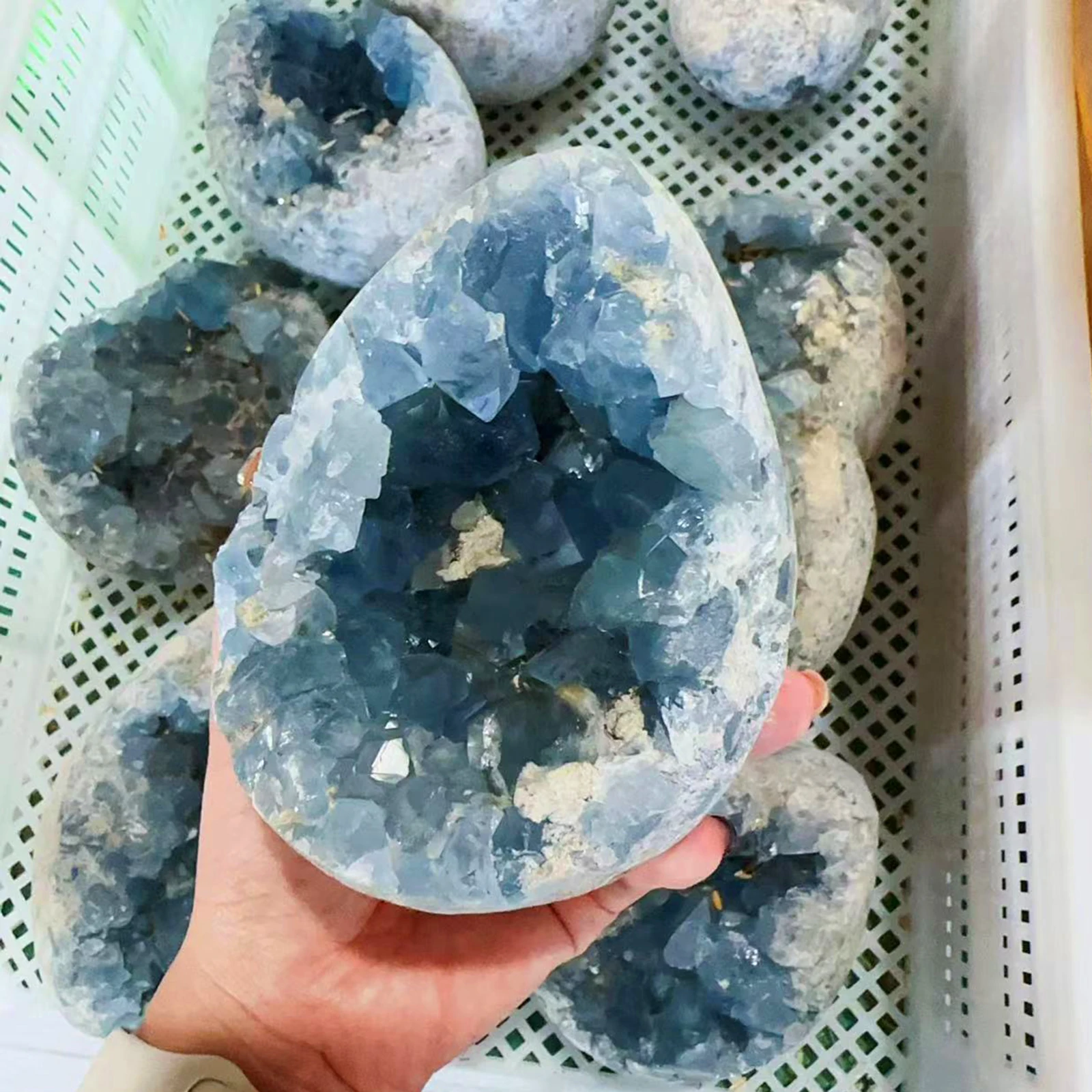 

Wholesale Natural Blue Celestite Cluster free shape raw stone Blue Celestite Geode Druzy home decoration