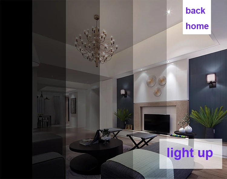 Alexa WiFi Light Switch, Smart Light Switch for Alexa and Smartphone, Tempered Remote Control - ANKUX.COM