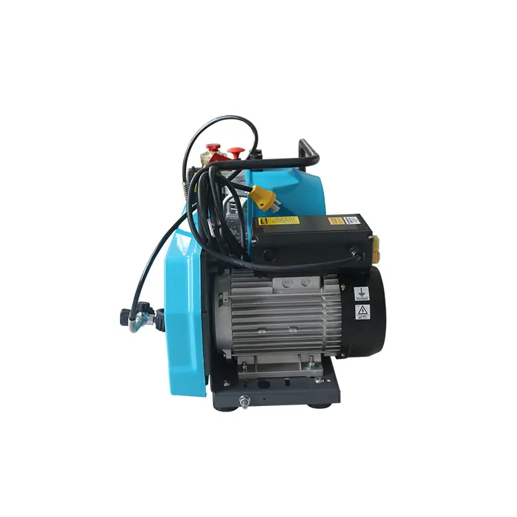 
Cheap High Pressure 100 L air Compressor for breathing apparatus 