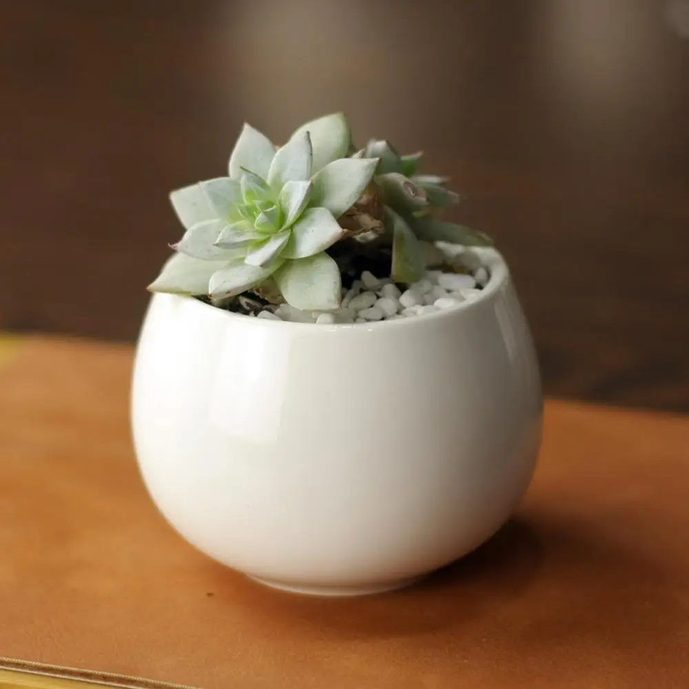 

wholesale modern white flower holder mini spherical ceramic planter pots for garden