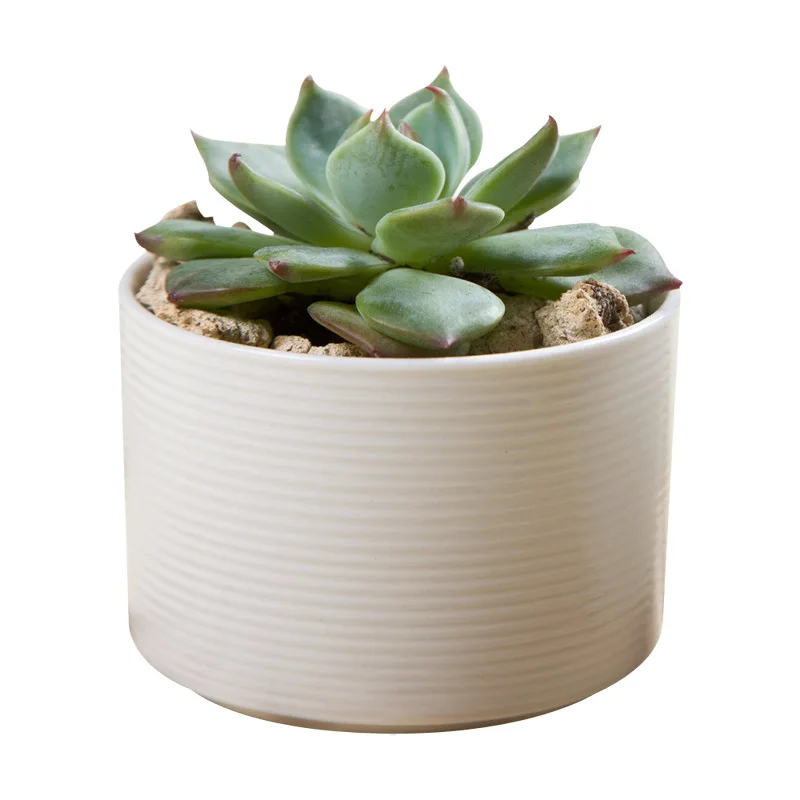 

Mfashion Cheap small ceramic artificial mini wholesale custom white flower pot with dome indoor round flower pot