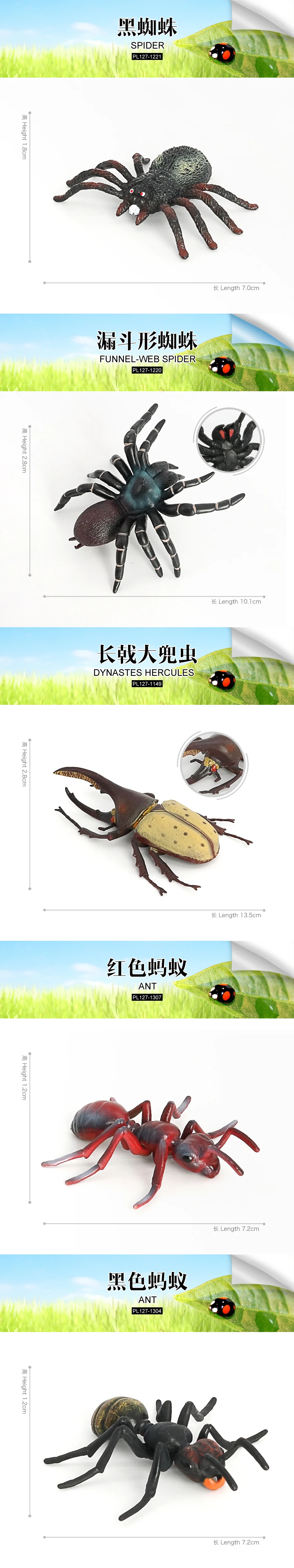 insect5.jpg