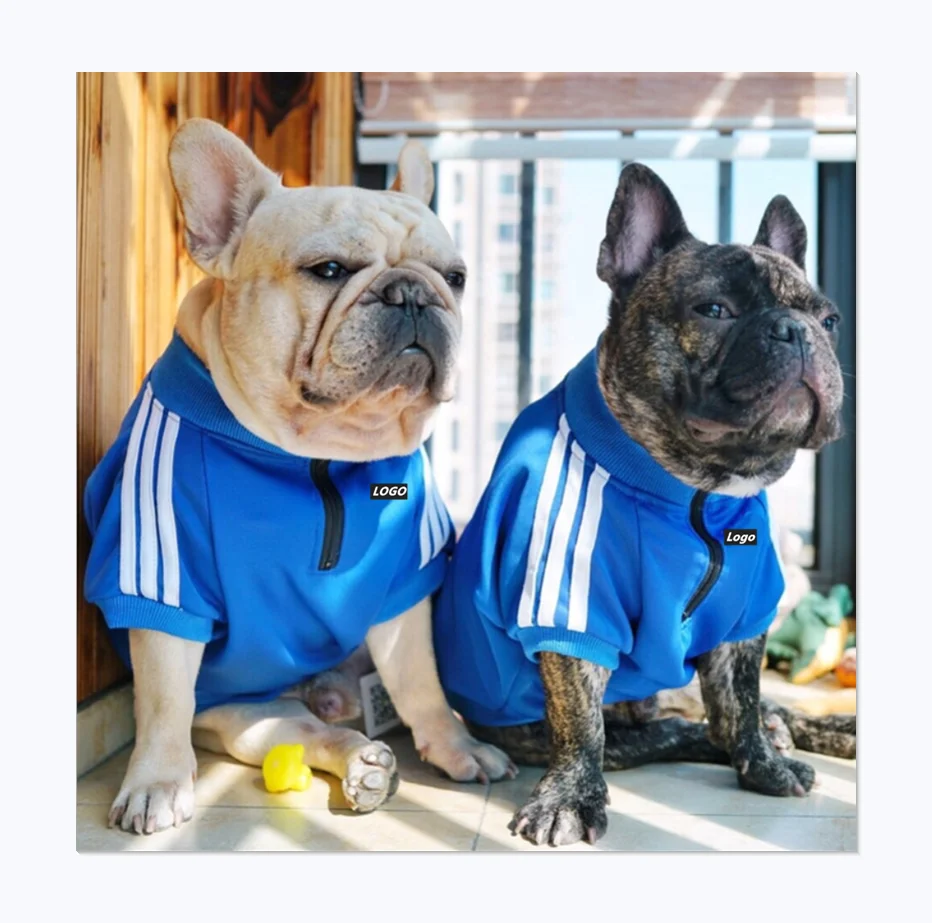 

Trendy Fashion Sports Pure Brand Pet Clothes Zipper Cute Logo Designer Dog Sweatshirt