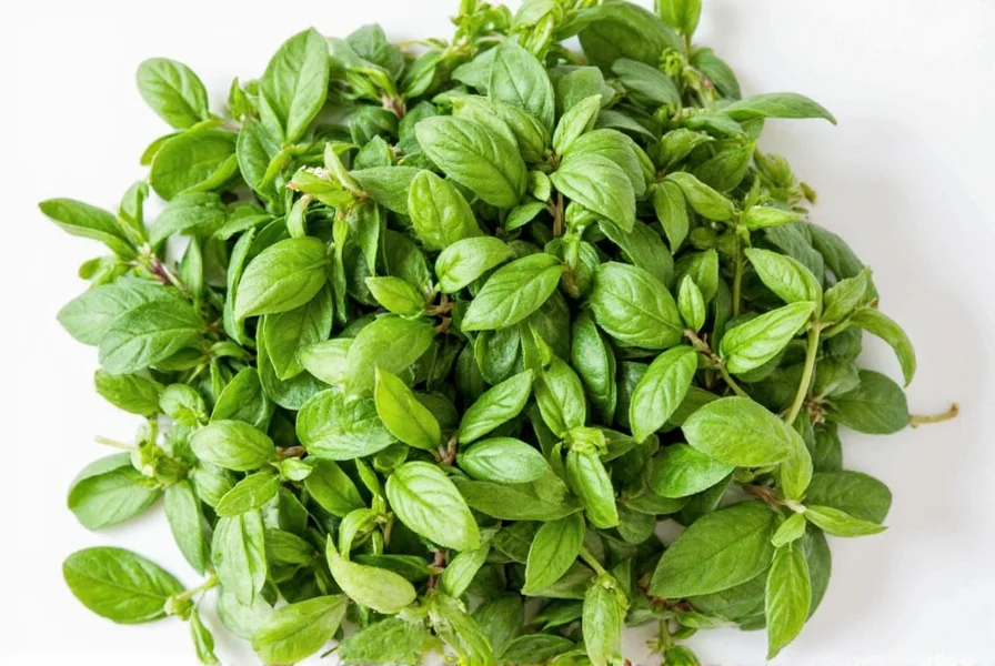 Fresh basil leaves