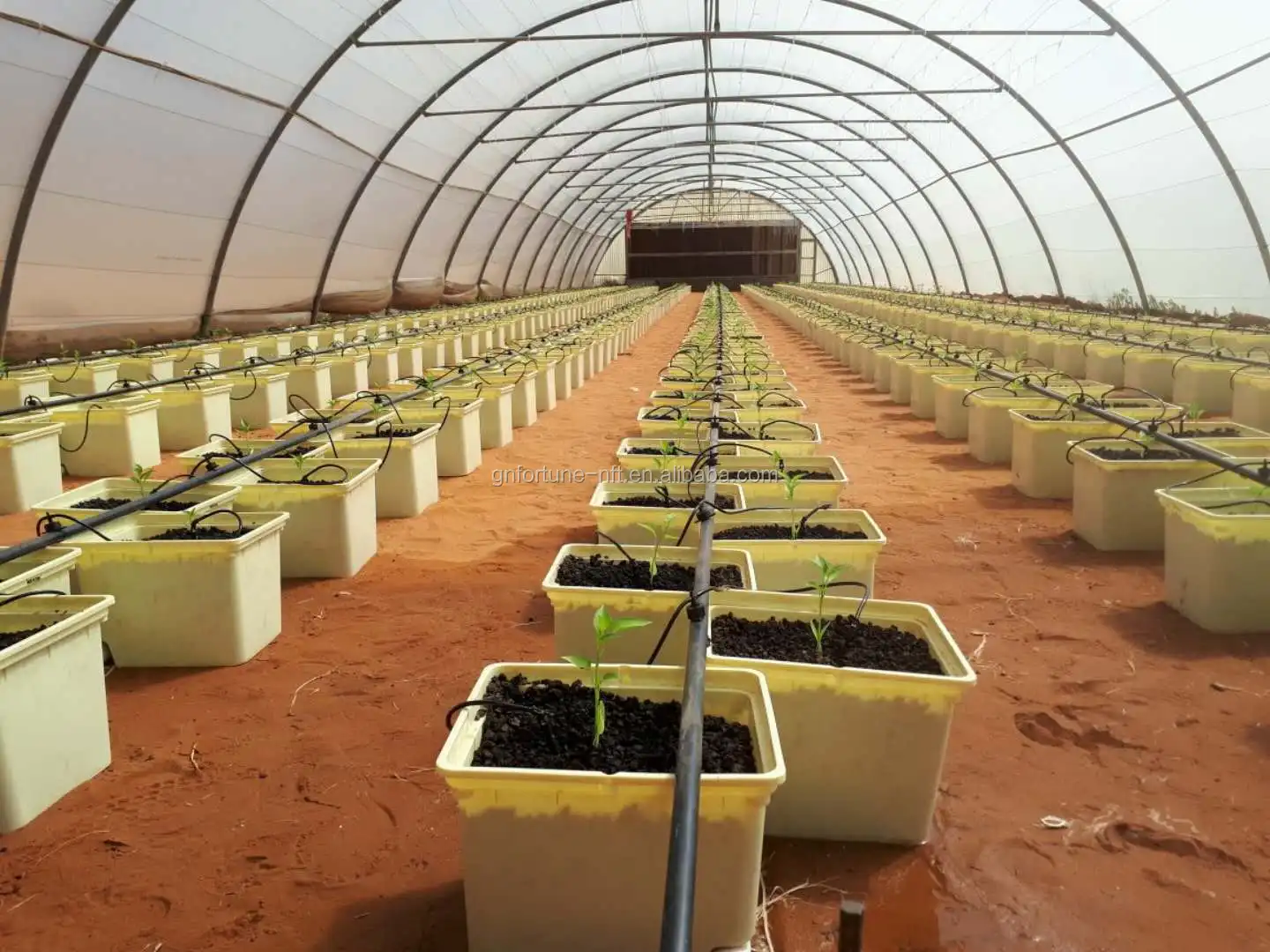 indoor grow systems