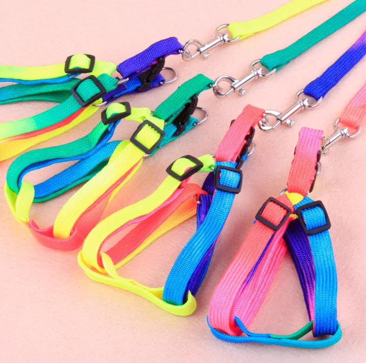 

Top Selling Store Accessories Wholesale Nylon Colorful Chest Sling Rope Pet Dog Leash Portable