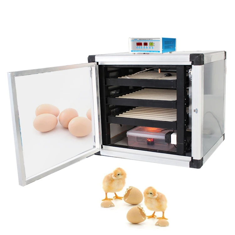 Plateau à œufs Rotatif Automatique Pour Incubateur - 220V - Pour Poules, Canards, Cailles - Jusqu'à 78 œufs