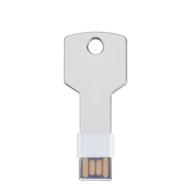 

Promotional Gift With Logo USB Flash Drive 2.0/3.0 Key USB Flash Memory