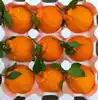 Wholesale China Iqf Frozen Peeled Mandarin Orange/aiyuan /Tangerine