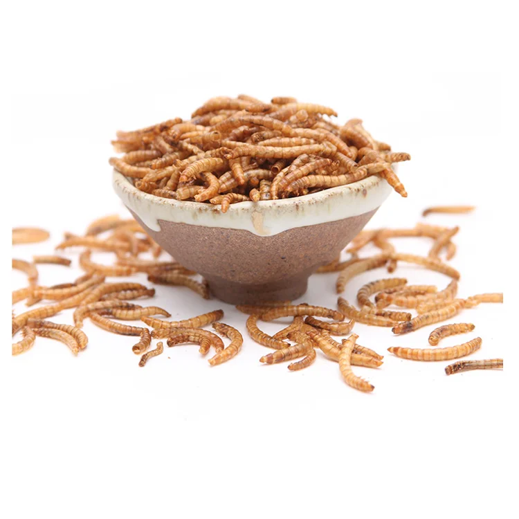 
Dried mealworms for poultry and livestock bird food pets food bird meal pets meal 