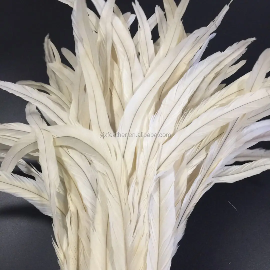 wholesale bleached white chicken feather