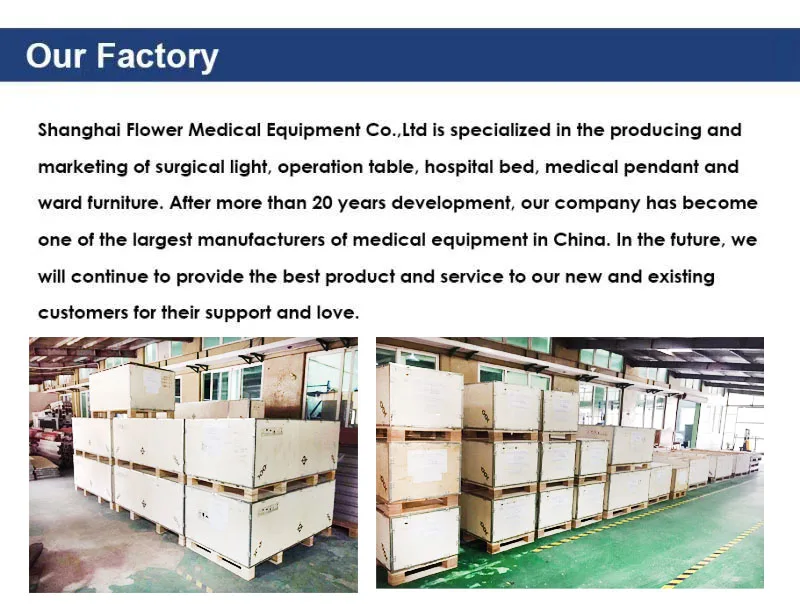 factory picture-1.jpg