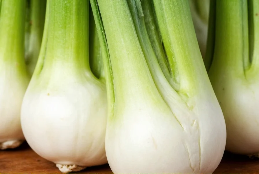 Fennel Bulbs: Complete Guide to Selection, Prep & Cooking