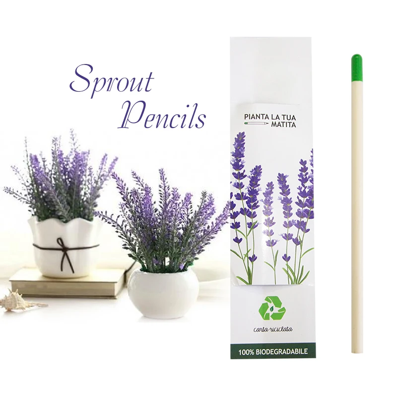 
Promotion of environmentally friendly seed pencils, pencils that can grow plants 