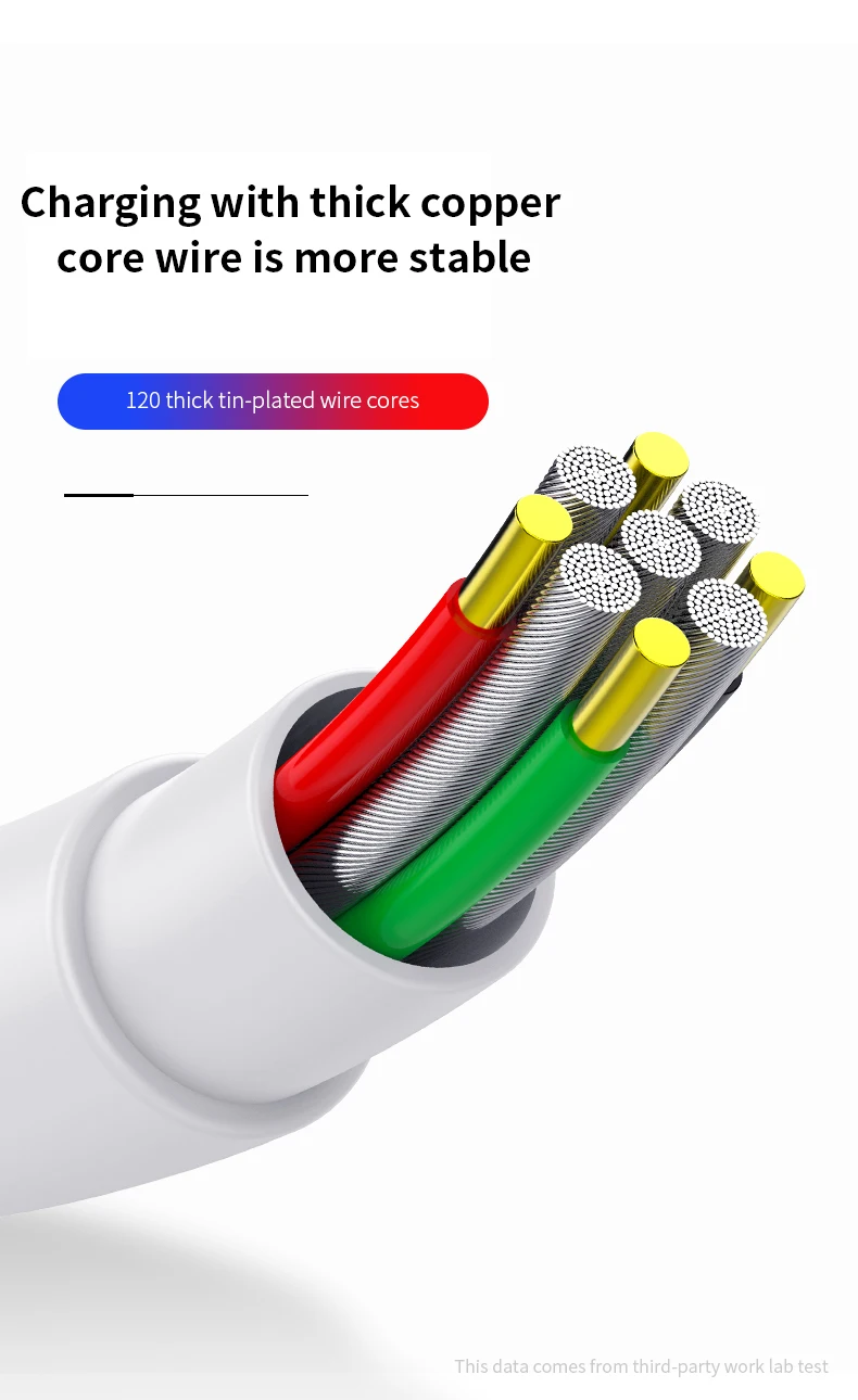 (3_07.jpg