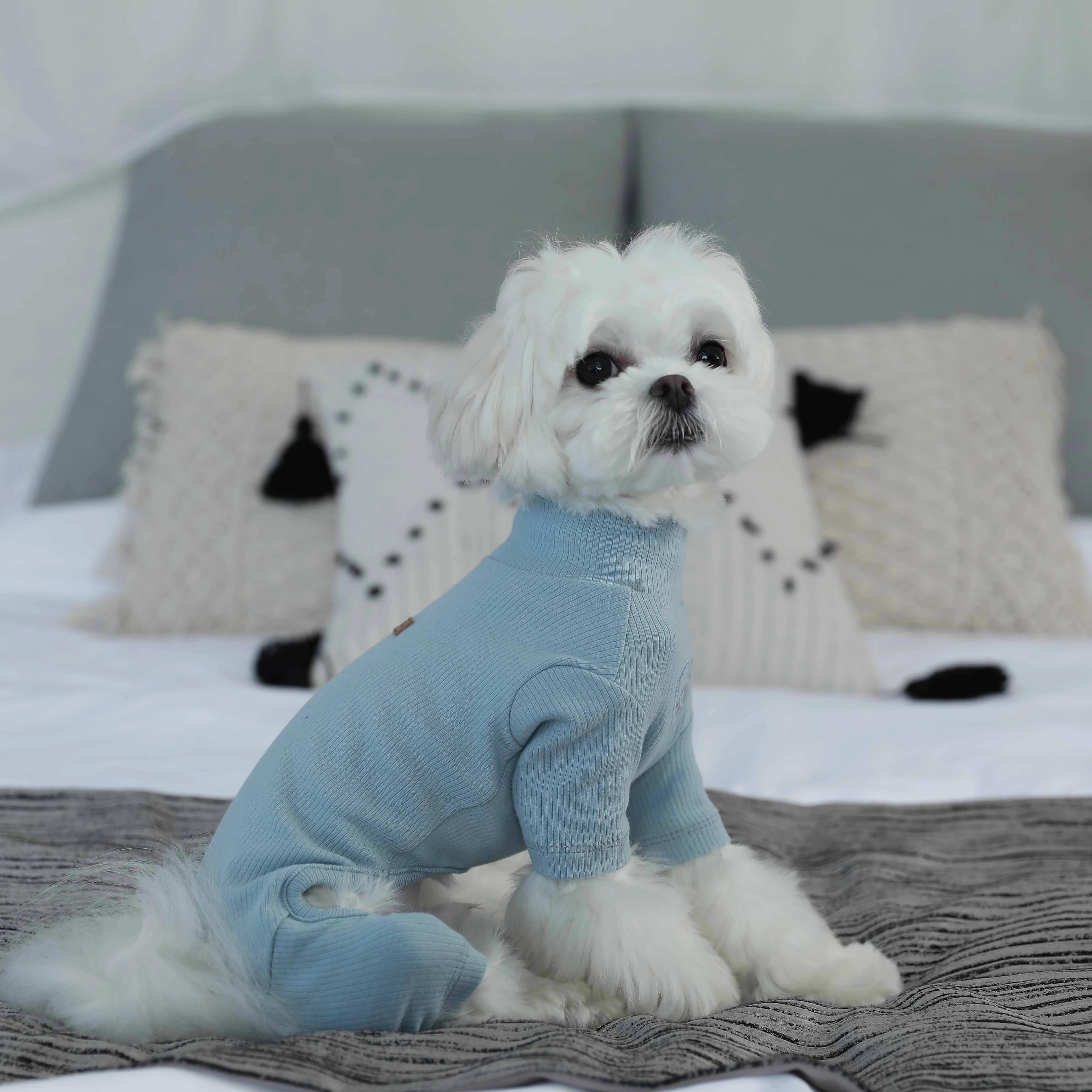 

Love Eyes Four Legs Bottom Pet Custom Wear Dog Doggy Outfits Pet Clothes